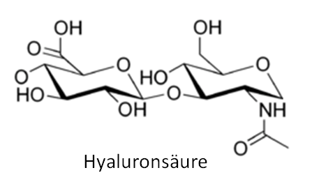 Hyaluronsäure gegen Falten Strukturformel Hyaluronsäure gegen Falten Strukturformel
