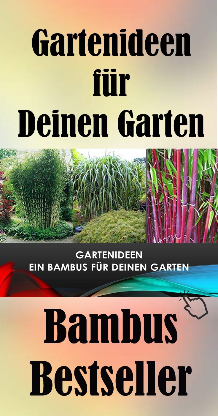 ᐅ Top Bambus Fur Ihren Garten Gunstig Online Kaufen Bambus Angebote