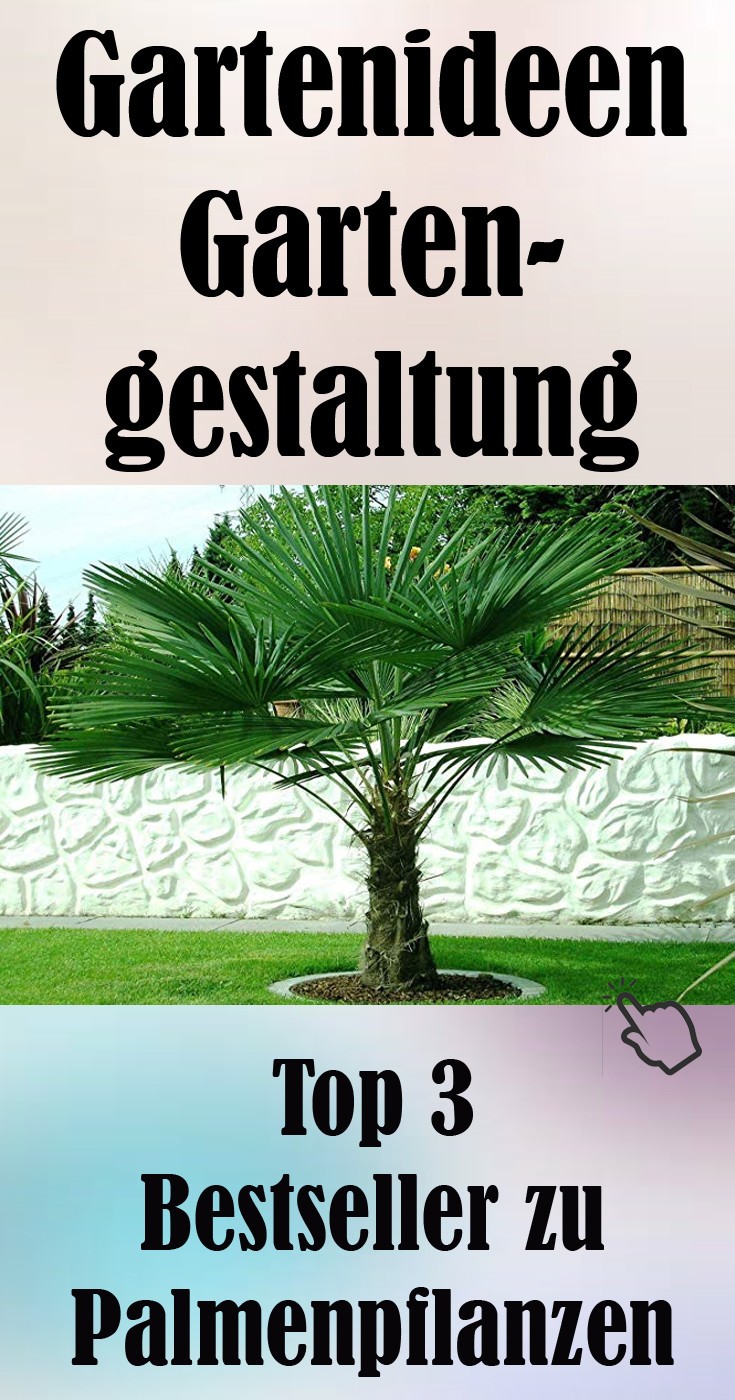 Palmen Pflanzen. Aufzucht und Pflege von mediterranen und exotischen Pflanzen haben sich zu einem ganz besonderen Hobby mit vielen Anhängern. #palmen #gartenideen Top 3 Bestseller zu Palmenpflanzen Gartenideen.